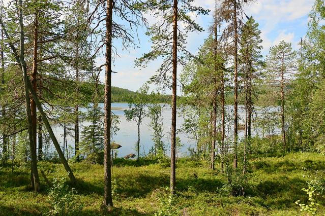 Björnlandet National Park